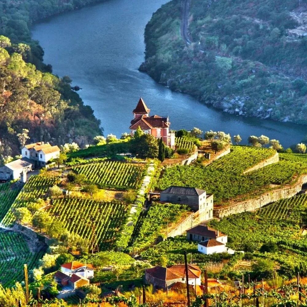 Porto & Douro