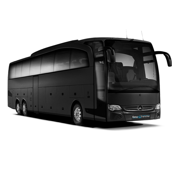 Coach